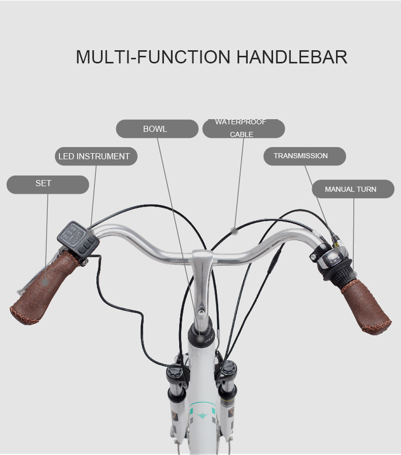 Prasino City Style 24" Electric bike