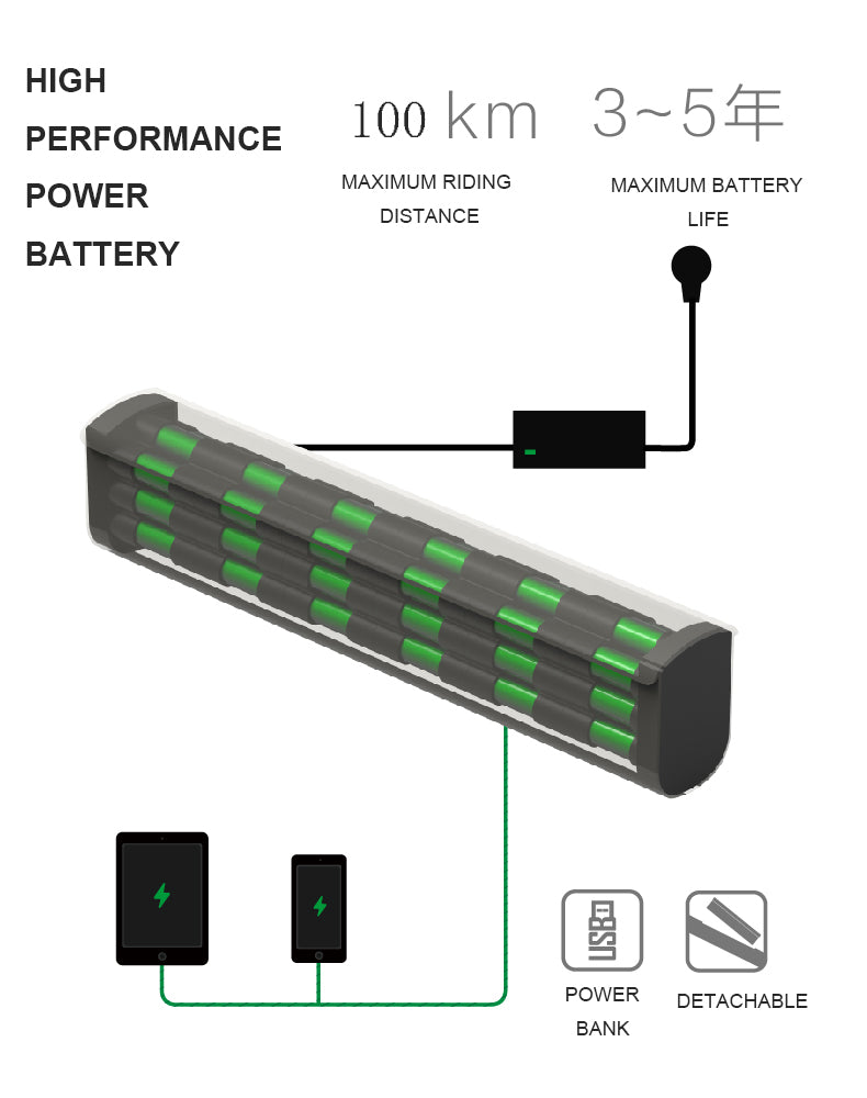 Prasino City Style 24" Electric bike