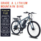 Prasino dual disk electric city bike