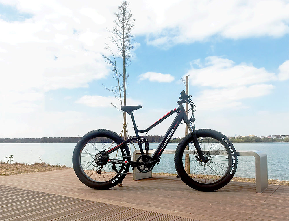 Prasino 2022 48V Electric Mountain Bike