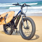 Prasino 1000W Fat tyre mountain bike