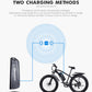 Prasino 48V 1000W Electric Hybrid Fat Tyre snow bike