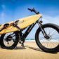 Prasino 1000W Fat tyre mountain bike