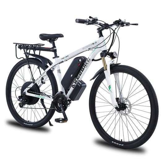 Prasino dual disk electric city bike