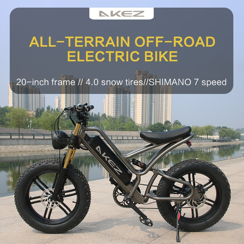 Prasino E shock 48V750W Electric assisted bike