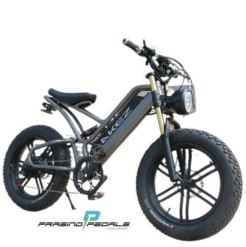 Prasino E shock 48V750W Electric assisted bike